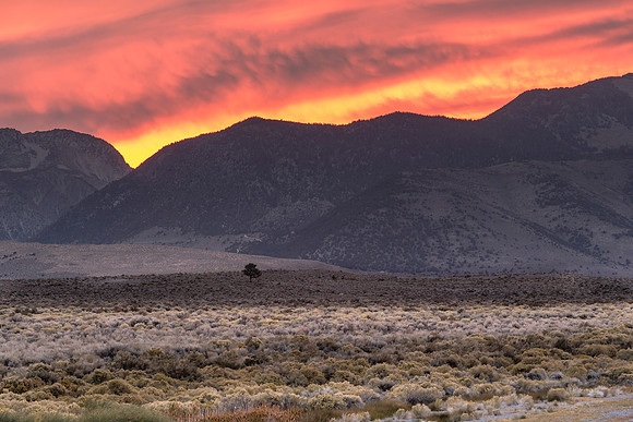 Sage Bands Sierras Sunset