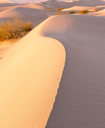 Mesquite Dunes Curves