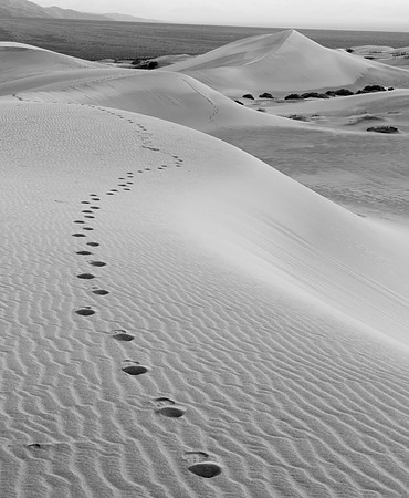 Mesquite Dunes Trek