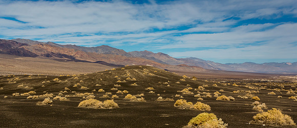 Dark Sage Death Valley