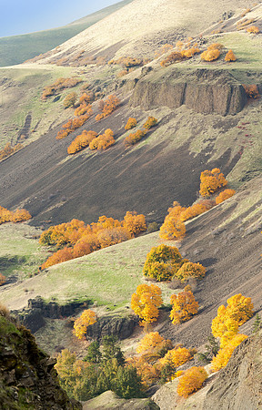 Columbia Gorge Fall Colors 3