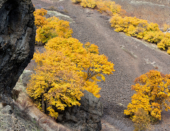 Gorge Fall Colors Boulder