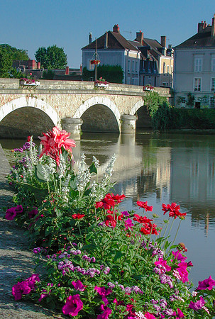 Loire Bridge Flowers