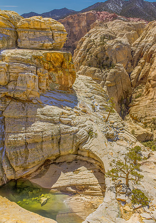 Red Rocks Canyons Vista