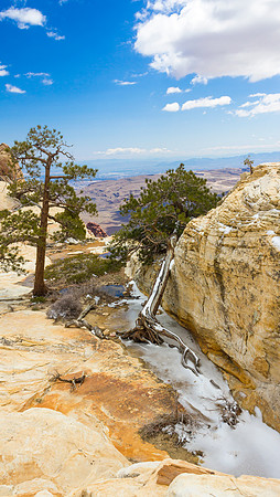 Lone Pine Vista
