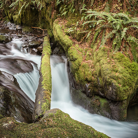 Duncan Creek Cascade