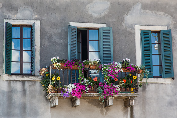 Verona Flowers Window