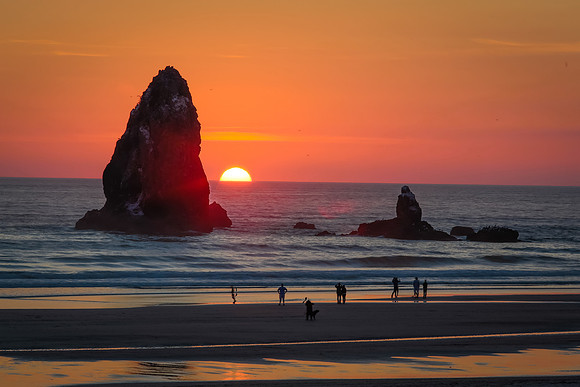 Sunset Needles
