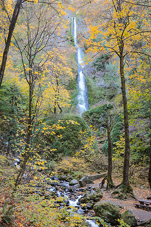 Starvation Creek Falls Columbia River Gorge