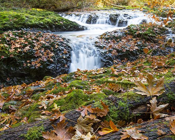 Silver Park's North Falls & Cave